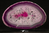 20249 -  Extremely Beautiful 6.08 Inch Brazilian Agate Slice (Chalcedony Geode Section)