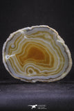 20251 -  Extremely Beautiful 5.37 Inch Brazilian Agate Slice (Chalcedony Geode Section)