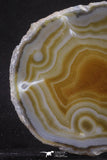 20251 -  Extremely Beautiful 5.37 Inch Brazilian Agate Slice (Chalcedony Geode Section)