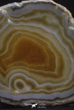 20251 -  Extremely Beautiful 5.37 Inch Brazilian Agate Slice (Chalcedony Geode Section)