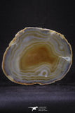 20251 -  Extremely Beautiful 5.37 Inch Brazilian Agate Slice (Chalcedony Geode Section)
