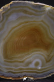 20251 -  Extremely Beautiful 5.37 Inch Brazilian Agate Slice (Chalcedony Geode Section)