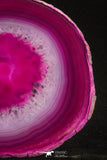 20252 -  Extremely Beautiful 4.99 Inch Brazilian Agate Slice (Chalcedony Geode Section)
