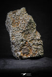 21258 - New Unpublished Complete Iron IAB Meteorite 2553g Fallen in Algeria
