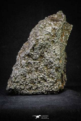 21258 - New Unpublished Complete Iron IAB Meteorite 2553g Fallen in Algeria