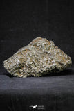 21258 - New Unpublished Complete Iron IAB Meteorite 2553g Fallen in Algeria