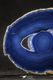 20255 -  Extremely Beautiful 5.09 Inch Brazilian Agate Slice (Chalcedony Geode Section)