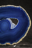 20255 -  Extremely Beautiful 5.09 Inch Brazilian Agate Slice (Chalcedony Geode Section)