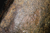 21259 - Huge Almost Complete NWA L-H Type Unclassified Ordinary Chondrite Meteorite 5284g