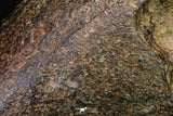 21259 - Huge Almost Complete NWA L-H Type Unclassified Ordinary Chondrite Meteorite 5284g