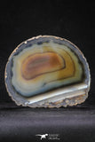 20256 -  Extremely Beautiful 4.77 Inch Brazilian Agate Slice (Chalcedony Geode Section)