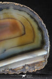 20256 -  Extremely Beautiful 4.77 Inch Brazilian Agate Slice (Chalcedony Geode Section)
