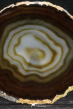 20257 -  Extremely Beautiful 5.46 Inch Brazilian Agate Slice (Chalcedony Geode Section)