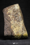 21261 - Huge Complete NWA L-H Type Unclassified Ordinary Chondrite Meteorite 2819g