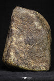 21261 - Huge Complete NWA L-H Type Unclassified Ordinary Chondrite Meteorite 2819g