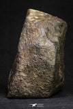 21261 - Huge Complete NWA L-H Type Unclassified Ordinary Chondrite Meteorite 2819g