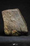 21261 - Huge Complete NWA L-H Type Unclassified Ordinary Chondrite Meteorite 2819g