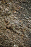 21261 - Huge Complete NWA L-H Type Unclassified Ordinary Chondrite Meteorite 2819g