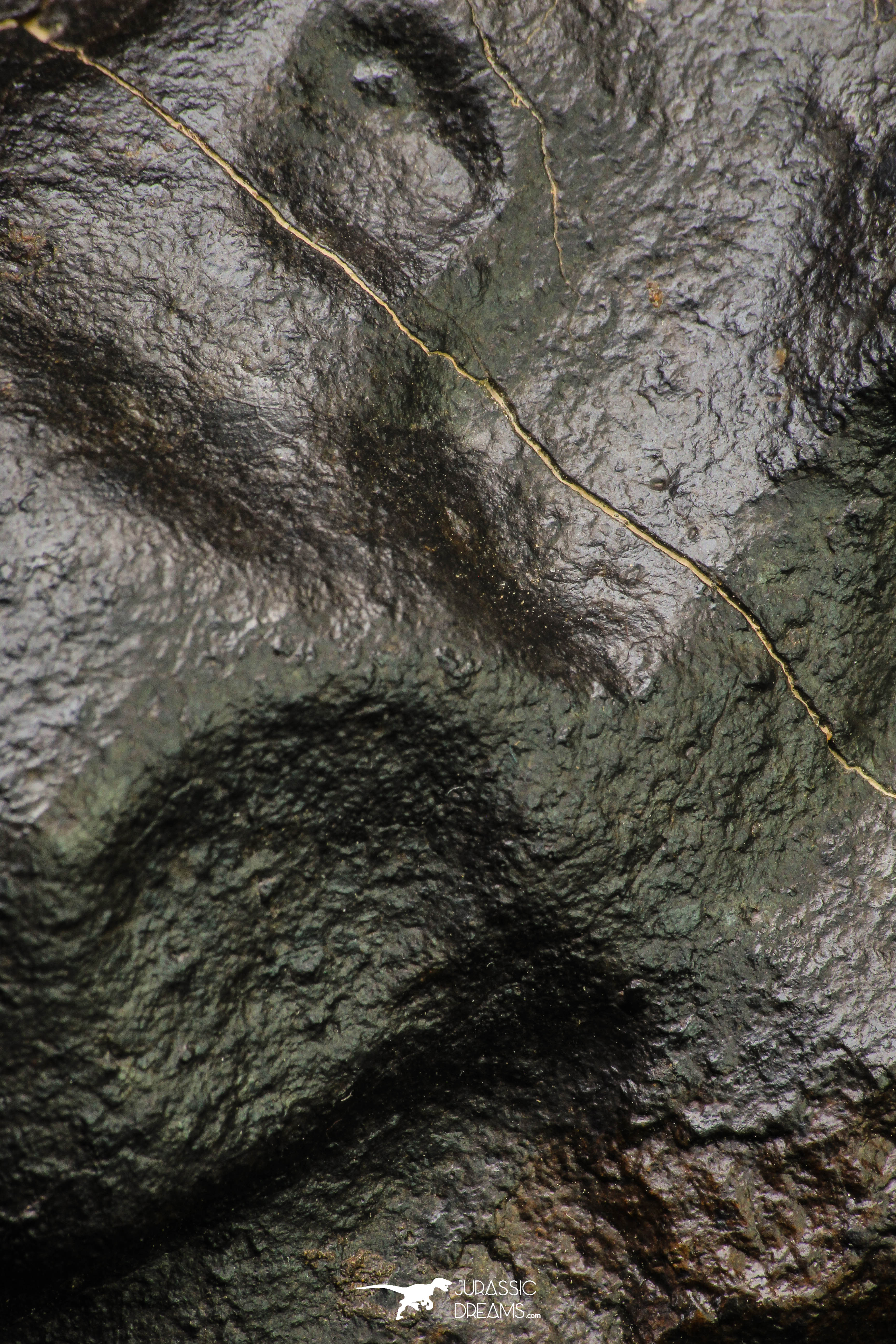 Huge Almost Complete NWA L-H Type Unclassified Ordinary