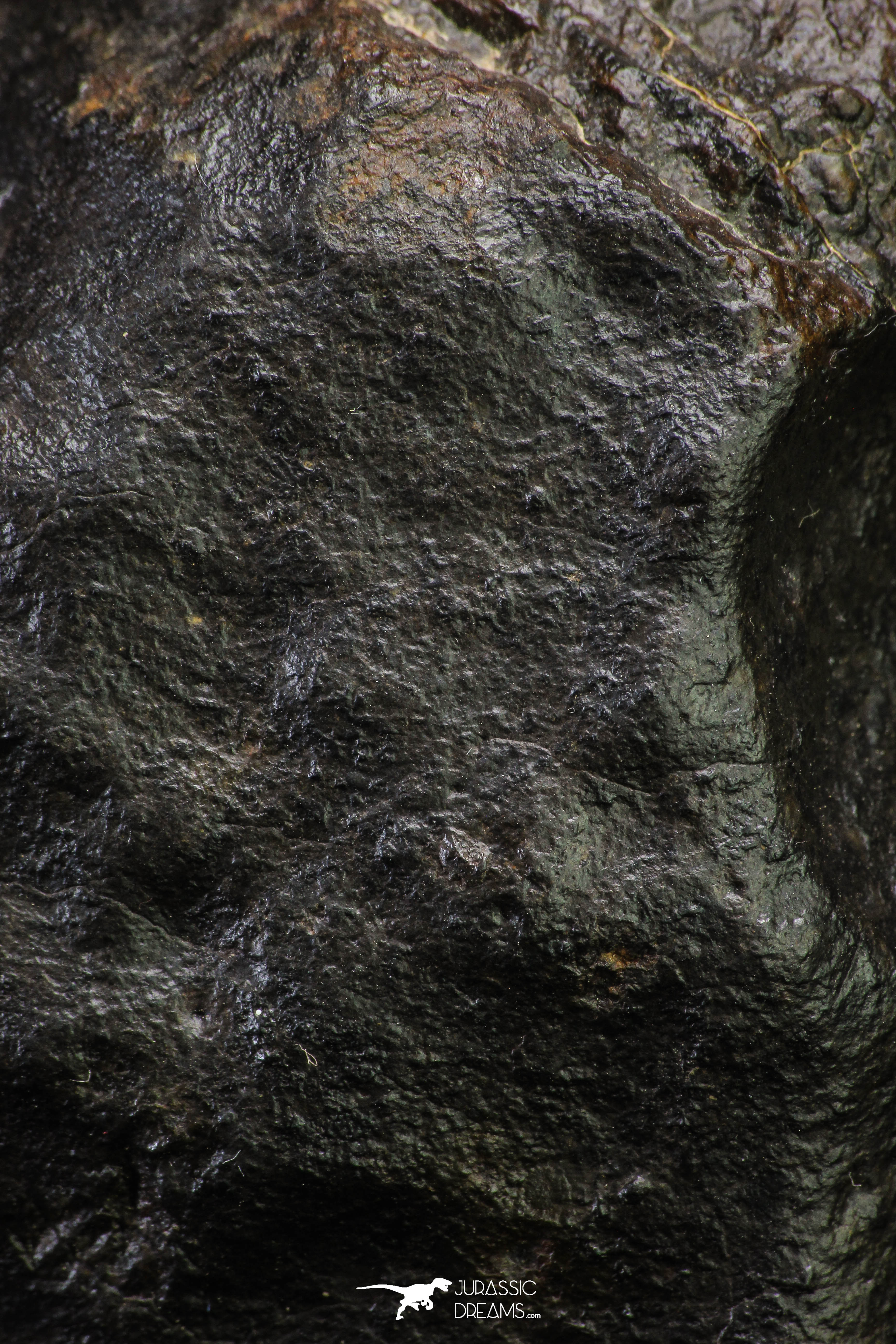 Huge Almost Complete NWA L-H Type Unclassified Ordinary