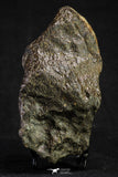 21263 - Huge Complete NWA L-H Type Unclassified Ordinary Chondrite Meteorite 942g