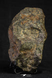 21263 - Huge Complete NWA L-H Type Unclassified Ordinary Chondrite Meteorite 942g