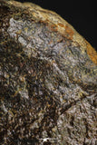 21263 - Huge Complete NWA L-H Type Unclassified Ordinary Chondrite Meteorite 942g