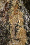 21263 - Huge Complete NWA L-H Type Unclassified Ordinary Chondrite Meteorite 942g