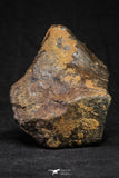 21264 - Huge Complete NWA L-H Type Unclassified Ordinary Chondrite Meteorite 495g