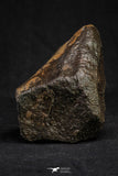 21264 - Huge Complete NWA L-H Type Unclassified Ordinary Chondrite Meteorite 495g