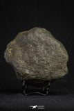21265 - Huge Complete NWA Unclassified Carbonaceous Chondrite Meteorite 1176g