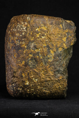 21266 - Huge Almost Complete NWA Enstatite Chondrite Meteorite 5105g
