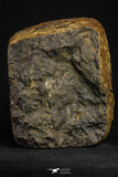 21266 - Huge Almost Complete NWA Enstatite Chondrite Meteorite 5105g