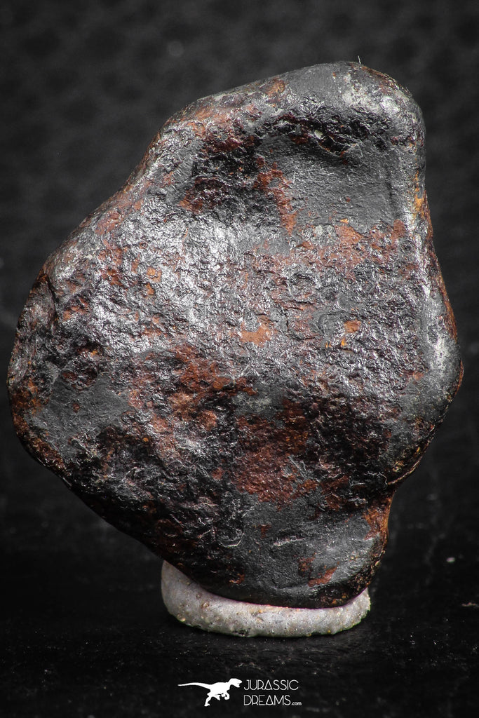 07417 - Agoudal Imilchil Iron IIAB Meteorite 22g Collector Grade