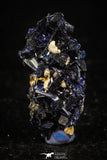 08339 - Beautiful Deep Blue Azurite Crystals - Kerrouchen mine (Morocco)