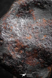 07417 - Agoudal Imilchil Iron IIAB Meteorite 22g Collector Grade