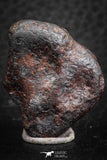 07417 - Agoudal Imilchil Iron IIAB Meteorite 22g Collector Grade