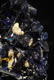 08339 - Beautiful Deep Blue Azurite Crystals - Kerrouchen mine (Morocco)