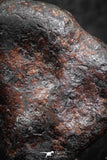 07417 - Agoudal Imilchil Iron IIAB Meteorite 22g Collector Grade