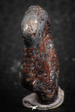 07417 - Agoudal Imilchil Iron IIAB Meteorite 22g Collector Grade