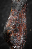 07417 - Agoudal Imilchil Iron IIAB Meteorite 22g Collector Grade