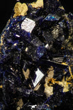 08339 - Beautiful Deep Blue Azurite Crystals - Kerrouchen mine (Morocco)