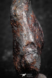 07417 - Agoudal Imilchil Iron IIAB Meteorite 22g Collector Grade