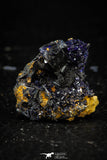 08340 - Beautiful Deep Blue Azurite Crystals - Kerrouchen mine (Morocco)