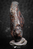 07417 - Agoudal Imilchil Iron IIAB Meteorite 22g Collector Grade