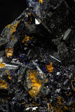 08340 - Beautiful Deep Blue Azurite Crystals - Kerrouchen mine (Morocco)