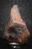 07418 - Agoudal Imilchil Iron IIAB Meteorite 19g Collector Grade