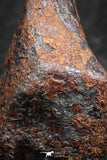 07418 - Agoudal Imilchil Iron IIAB Meteorite 19g Collector Grade