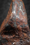 07418 - Agoudal Imilchil Iron IIAB Meteorite 19g Collector Grade