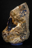 08341 - Beautiful Deep Blue Azurite Crystals on Carbonate Matrix - Kerrouchen (Morocco)